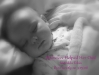 tillie-midwives